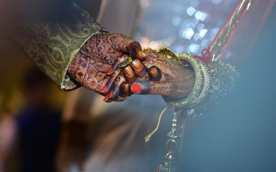 Vivah Pooja and Hindu wedding rituals with Pandit Ji